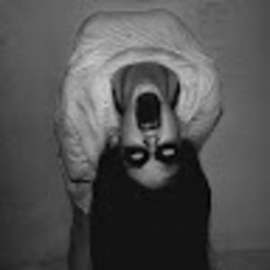 Meet your Posher, Karley